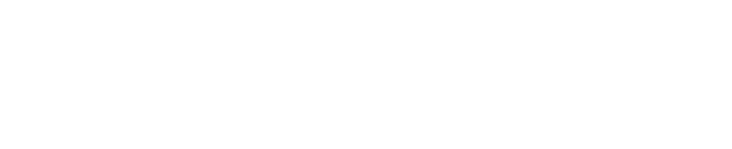 Team Safety Japan
